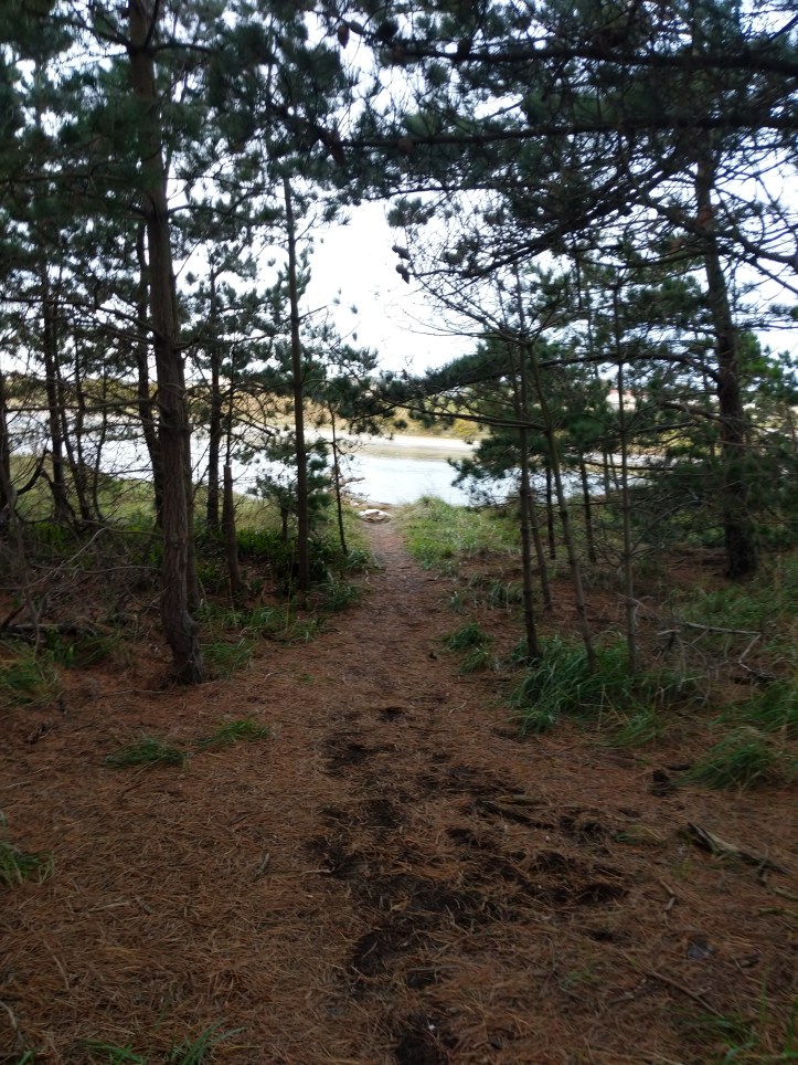 Maker:L,Date:2017-9-13,Ver:5,Lens:Kan03,Act:Kan02,E-Y