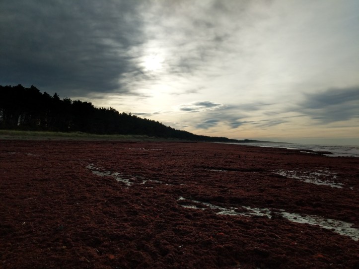 Maker:L,Date:2017-9-13,Ver:5,Lens:Kan03,Act:Kan02,E-Y