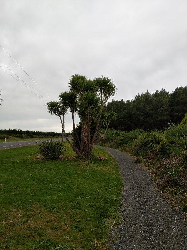 Maker:L,Date:2017-9-13,Ver:5,Lens:Kan03,Act:Kan02,E-Y